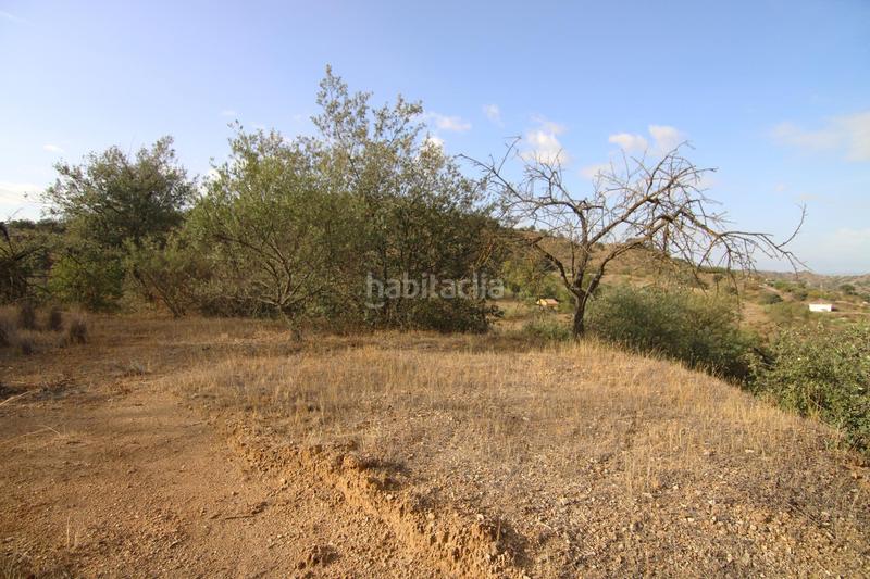 Foto eebf9c35-0813-4bd1-a47d-cf64b14e07ec. Finca rústica 6062 m2 parcela rustica con luz y agua en Madrid