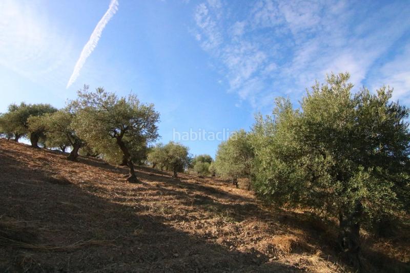 Foto 1216ba40-581b-4782-a283-45c148174047. Finca rústica a Tolox