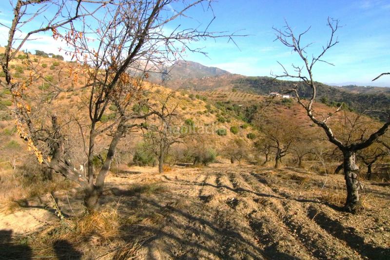 Foto 56bfe1b8-7c1c-4879-8985-df02108d0d98. Finca rústica a Tolox