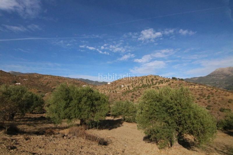 Foto 69955976-5bc2-488c-8e09-906c834c73e9. Finca rústica a Tolox