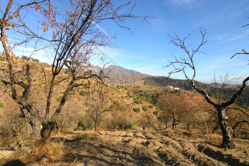 Foto bd9821b4-5d43-43bb-9d1a-20d1b40ffb5c. Finca rústica a Tolox