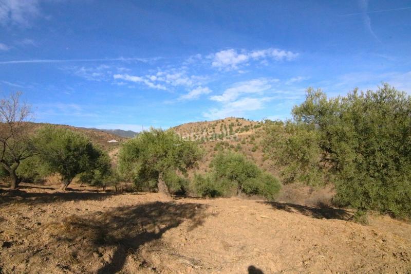 Foto e3b53210-6542-459c-96b5-664f0491d233. Finca rústica a Tolox
