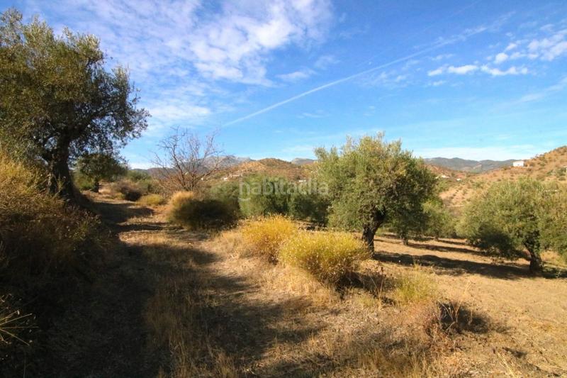 Foto e4aa6906-36d6-4763-8d22-4deaa7f9db99. Finca rústica a Tolox