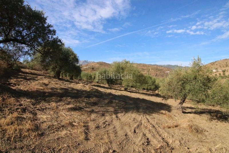 Foto f997d4ef-e76c-463a-8289-4ef5cd594a98. Finca rústica a Tolox