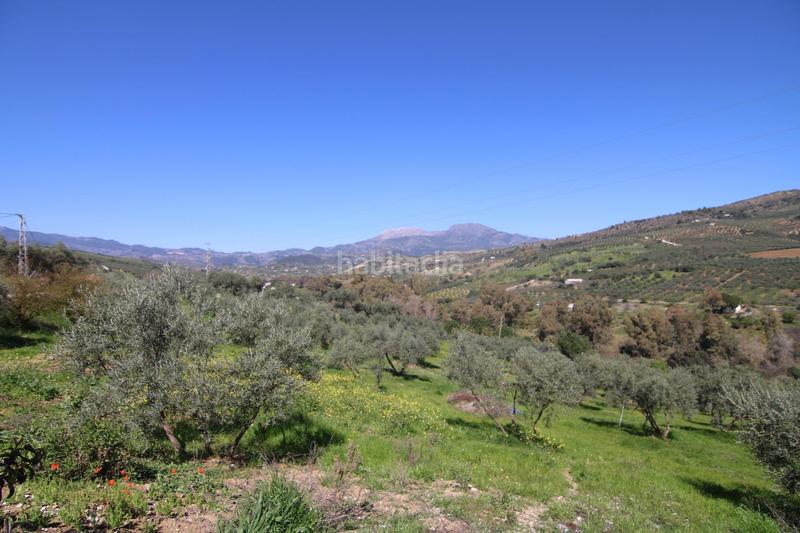 Foto 5c40f44e-0ba9-42e3-924b-2471ad50b863. Casa amb calefacció piscina a Guaro