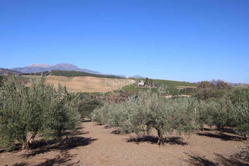 Foto 6e3e9cca-14a2-4c98-9629-4377ec1aa81e. Finca rústica a Coín