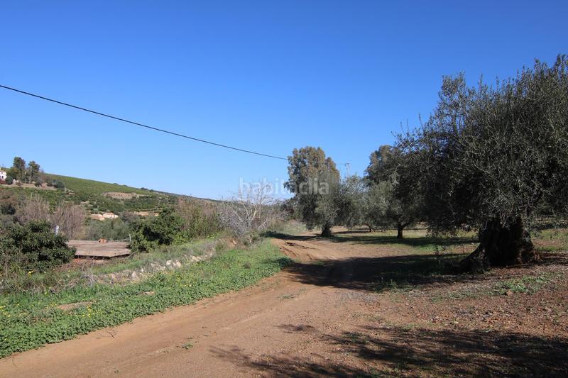 Foto ce1cf7c9-ab9b-445e-825c-797cc1159404. Finca rústica a Coín