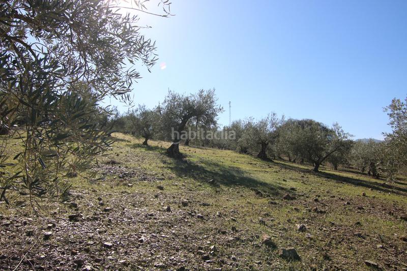 Foto d394c91b-0730-47fc-90b3-e89208569359. Finca rústica a Coín