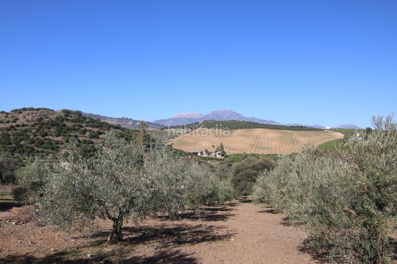 Foto ee756a0c-4db6-4e75-a4e3-d5ef2b5979c4. Finca rústica a Coín