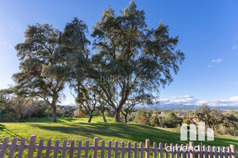 Foto ad6355fa-d815-438c-94d3-561b8b17179e. Chalet mit heizung parking pool in Ciudalcampo