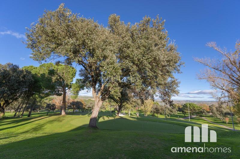 Foto 5802a3f4-9be1-499d-a35f-29f7a5ab1ac5. Chalet con riscaldamento parcheggio piscina in Ciudalcampo