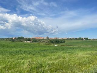 Landgut in Coria. Vista alegre