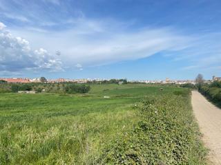 Rural plot in Coria. Vista alegre