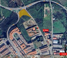 Landgut  Calle idanha nova. Olivar regadío el coria, caceres