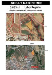 Rural plot in Avenida alfonso vii 70. Terreno de regadio