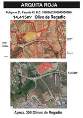 Landgut  Avenida alfonso vii. Parcela en coria