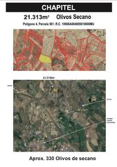 Finca rústica  N/a. Finca chapitel, olivos de secano