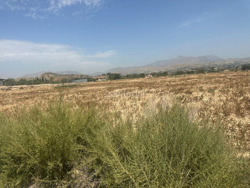 Foto 6bcea3cb-d5f1-4d7a-9463-4b147800ea12. Terreno residenziale in Fontcalent Alicante