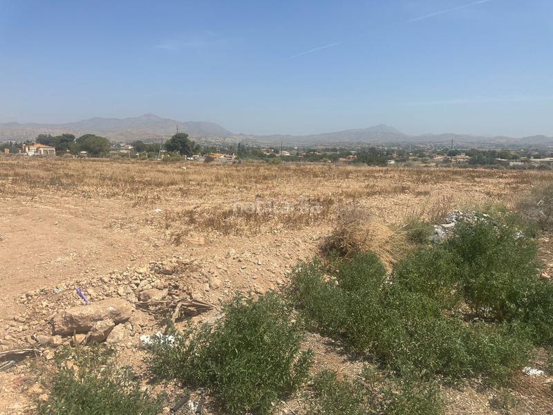 Foto f2ab1121-92fc-498e-bdef-90c6451a8afc. Terreno residenziale in Fontcalent Alicante
