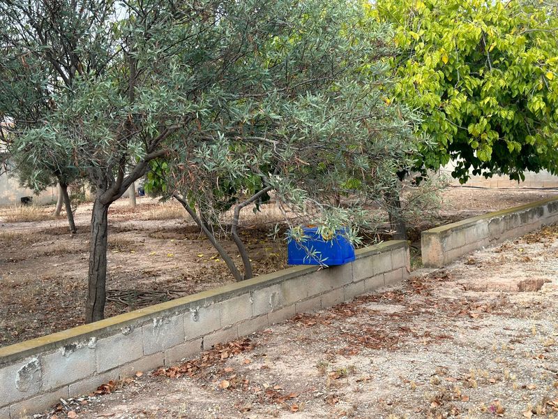 Foto 5ad77722-53f3-4068-9c8f-eedfea7eef85. Casa amb calefacció piscina a Villamontes-Boqueres Sant Vicent del Raspeig