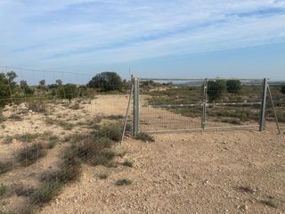 Rent Residential Plot in La Huerta. Parcela de 20.000m en alquiler con opción a compra en el cp 0369