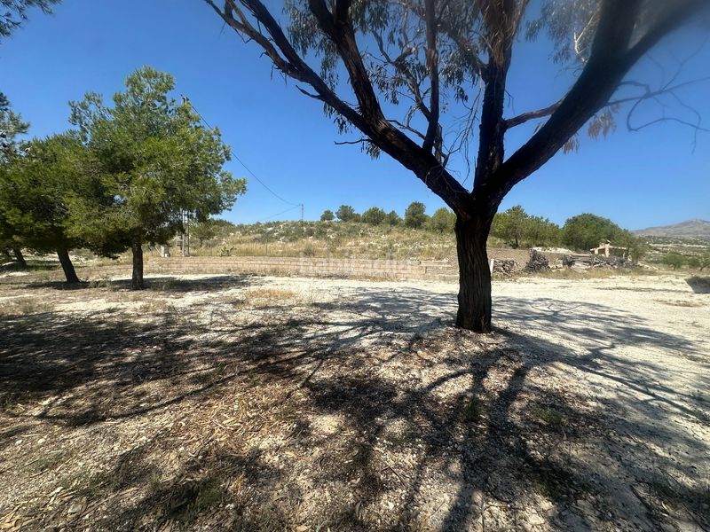 Foto 334e949b-d586-4de7-b793-e8408f5716a0. Finca rústica a Moralet Alicante