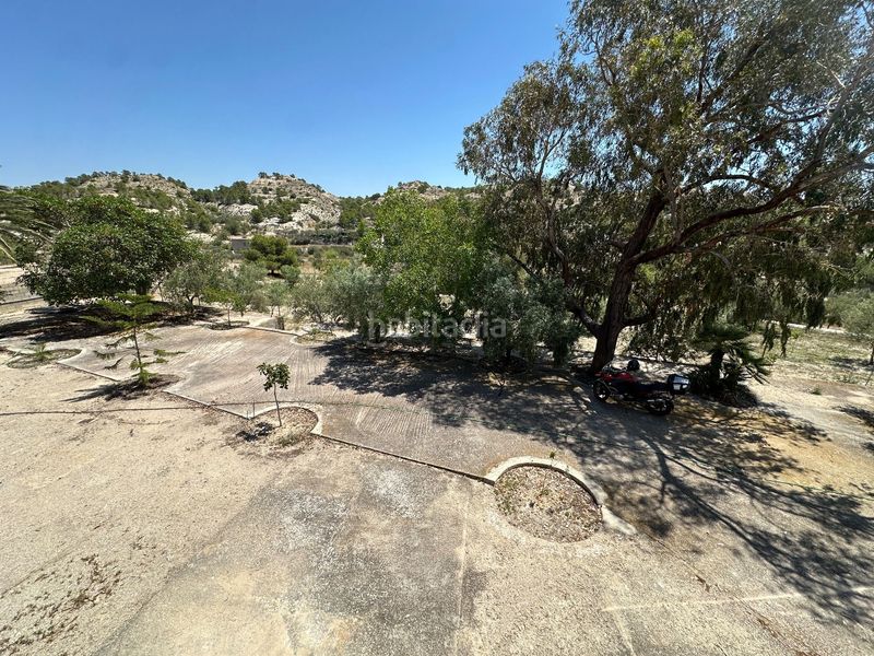 Foto 574c8b34-fce9-4d5b-9ad2-2e51f9277a9c. Finca rústica a Moralet Alicante