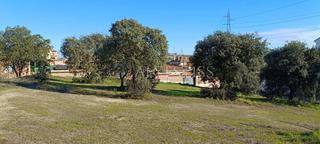 Terrain rsidentiel en Mntrida. Parcela urbana con bonitas vistas situada en una de las mejores