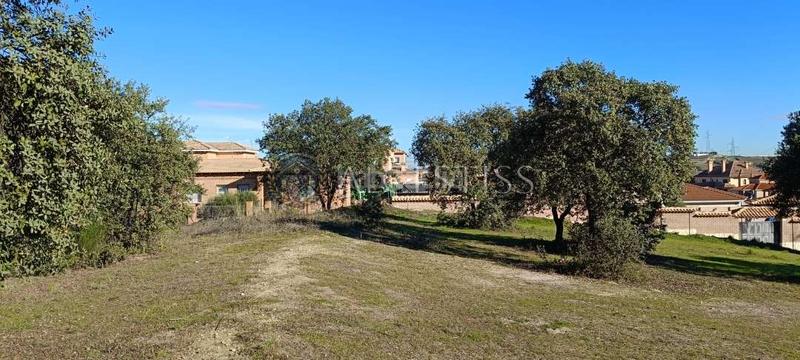 Foto 5e58b52c-cba3-4be2-986d-6c57e4413396. Terreny residencial a Méntrida