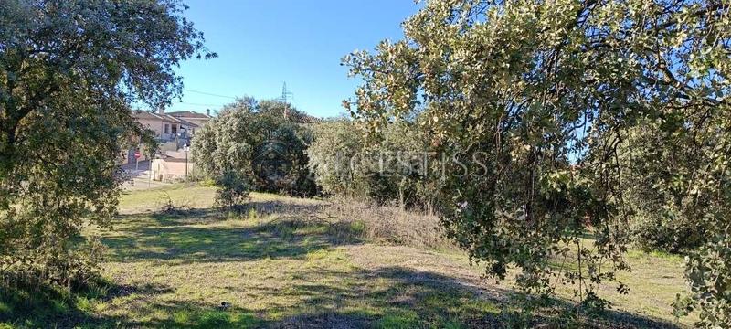 Foto 89577fbc-a1ab-442b-b01c-f5c055eeed91. Terreny residencial a Méntrida