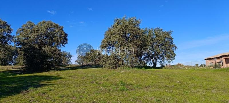 Foto a8779cfb-d25e-48d1-b861-ff534ba56538. Terreny residencial a Méntrida