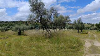 Finca rústica a Méntrida. Parcela rústica de 4.352m2 en el municipio de méntrida