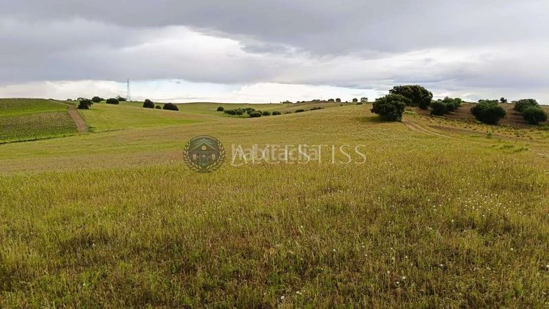 Foto 0dd34366-943d-4f5a-b447-b3d71cef2af7. Finca rústica a Torre de Esteban Hambrán (La)