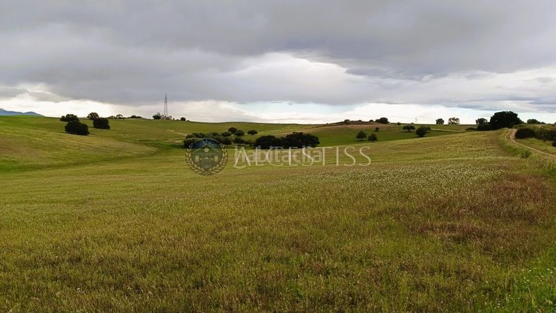 Foto 272f6626-db4c-4a33-923f-13ed9db48bac. Finca rústica a Torre de Esteban Hambrán (La)