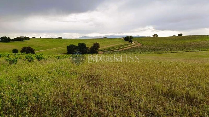 Foto 3f5efabc-cce5-4e55-a3e4-e8362af814b4. Finca rústica a Torre de Esteban Hambrán (La)