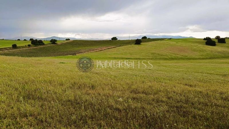 Foto 424250c3-dffc-4683-a9a9-5f1699f02273. Finca rústica a Torre de Esteban Hambrán (La)