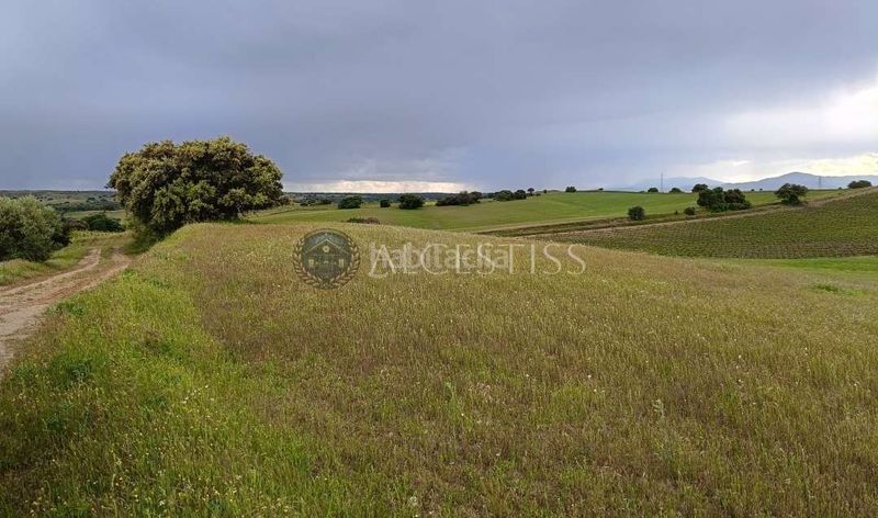 Foto 5023f5e5-1f60-4c91-a6fa-7d192108f033. Finca rústica a Torre de Esteban Hambrán (La)