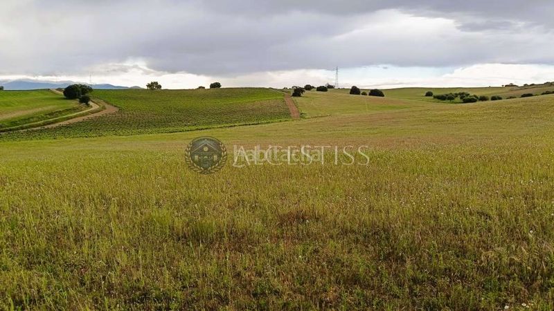 Foto 5fc5a079-39bb-4091-b49a-ba012c07c309. Finca rústica a Torre de Esteban Hambrán (La)