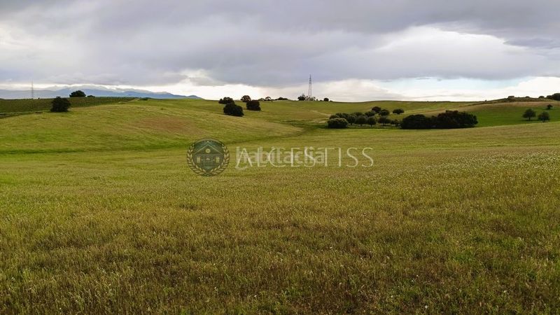 Foto 83e7a94f-3009-4cbc-a3ff-0dd86651ebe2. Finca rústica a Torre de Esteban Hambrán (La)
