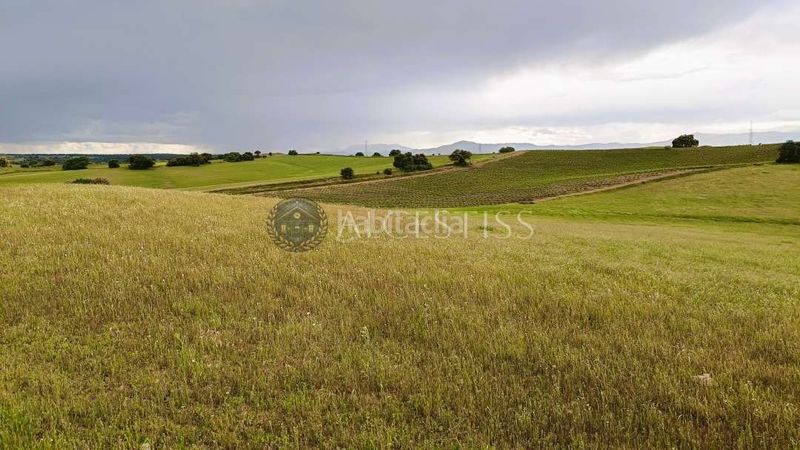 Foto e2015296-7fda-49c1-a517-b5c2e217e7fa. Finca rústica a Torre de Esteban Hambrán (La)
