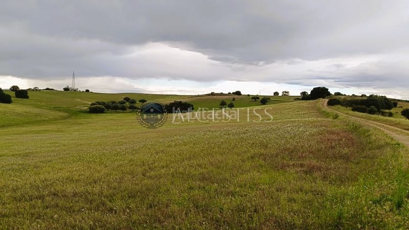 Foto eca23a2d-e997-4d04-9bae-659dae7b584a. Finca rústica a Torre de Esteban Hambrán (La)