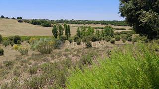 Finca rústica a Torre de Esteban Hambrán (La). Terreno rústico con pozo y vallado de 80.828m2 con posibilidad d