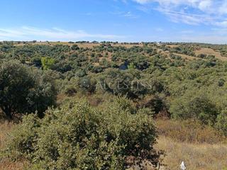 Finca rústica a Méntrida. Finca rústica con alto valor cinegético y paisajístico