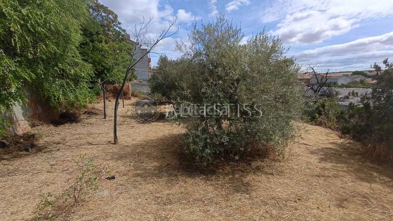 Foto 29696de1-6290-4700-ac88-3d8f3b39dc27. Nau industrial a Méntrida