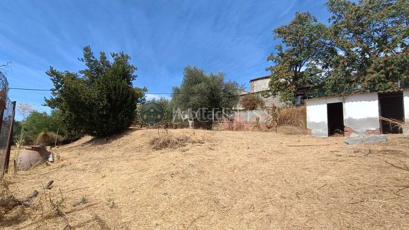 Foto 30b4c00f-c3fb-43c4-9a9c-2a6587d25347. Nau industrial a Méntrida