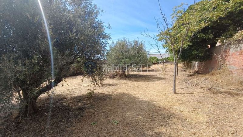 Foto 63c7a618-6b92-4e90-b22f-281915fe5707. Nau industrial a Méntrida