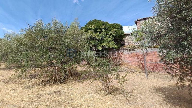 Foto 75de2e56-035f-4ae4-aa8d-8c5050b5a1ce. Nau industrial a Méntrida