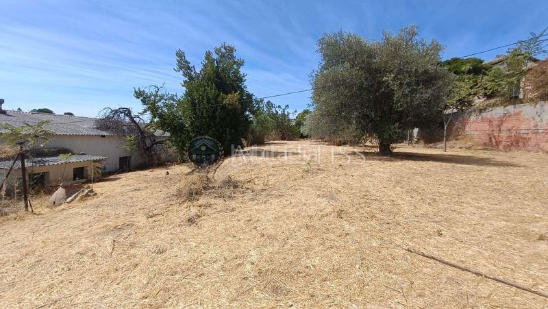 Foto 79a75705-b025-49df-8130-af11b50a5784. Nau industrial a Méntrida