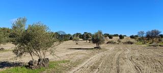 Propriété à Villamanta. Gran terreno rústico en villamanta