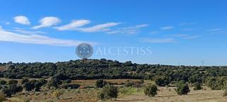 Propriété à Villamanta. Impresionante monte de encinas de 28.148m2 a la venta en villama